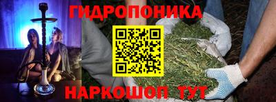молекула духа Можга
