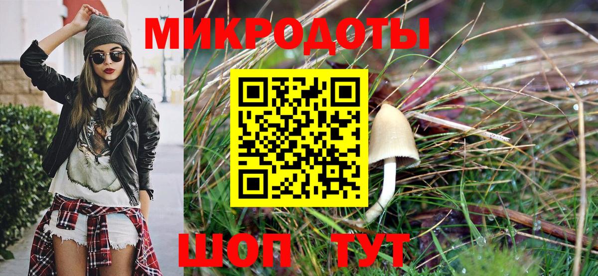 Псилоцибиновые грибы GOLDEN TEACHER Каменск-Шахтинский